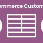 WooCommerce custom fields for products WeasyFields