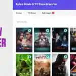 Epiza: Bulk Movie & TV Show Importer For WordPress